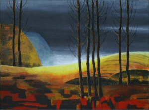 KONICA MINOLTA DIGITAL CAMERA