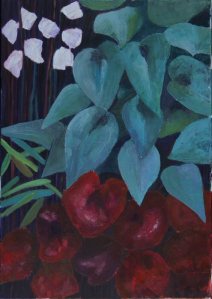 KONICA MINOLTA DIGITAL CAMERA