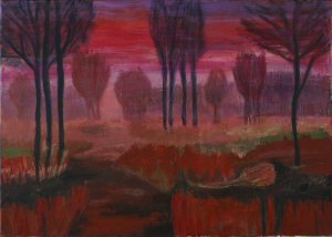 KONICA MINOLTA DIGITAL CAMERA